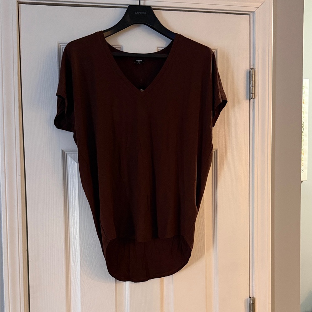 Express Deep Brown V-Neck Short Sleeve Top